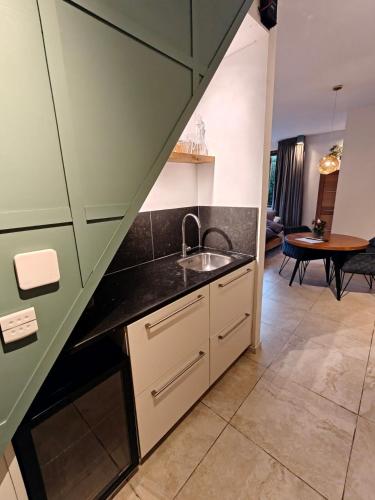 a kitchen with a sink and a counter top at Huize Triangel - Wellness studio met sauna in Noordwolde