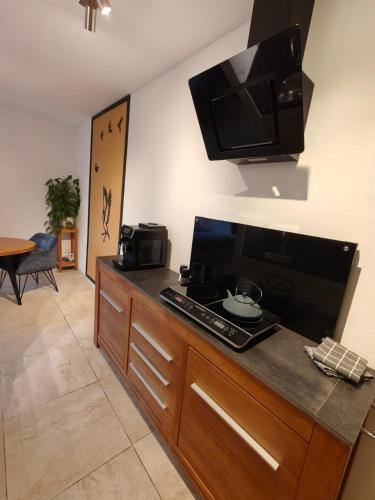 a desk with a television on top of it at Huize Triangel - Wellness studio met sauna in Noordwolde