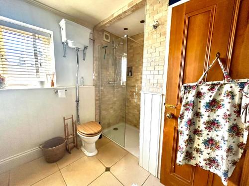 a bathroom with a toilet and a glass shower at Laurel Cottage in Exmouth