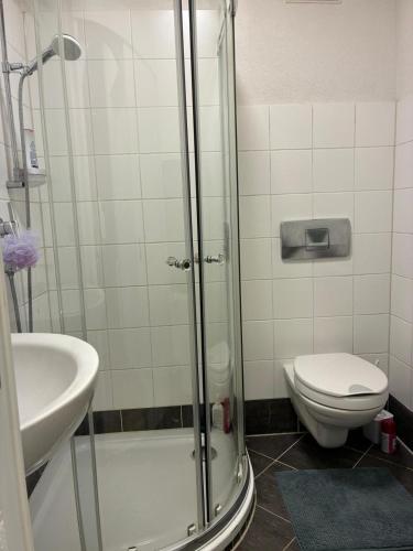 a bathroom with a shower and a toilet and a sink at Christoph's mountain and lake view in Pflach