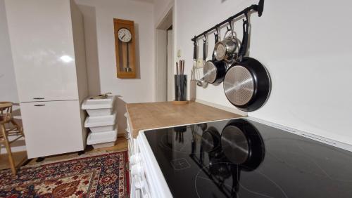 a kitchen with a counter with pots and pans on the wall at Apartmány Saxana in Smržovka