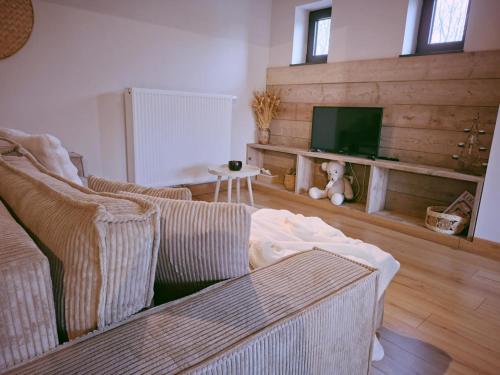 een woonkamer met een bank en een televisie bij B&B De Geythoek in Sijsele