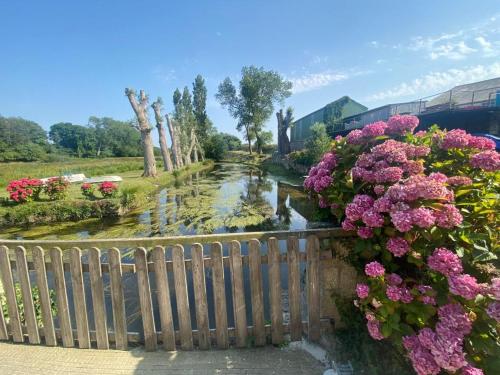 a view of a river with flowers on a fence at Maison partagée - Moulin de Kerellec in Plougoulm
