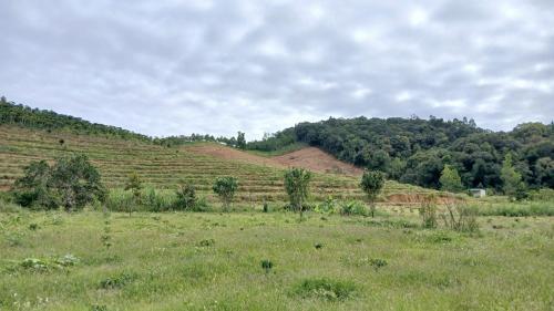 a field of grass with a hill in the background at Ditrek Adventure in Ðại Lào