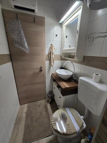 a small bathroom with a toilet and a sink at Studio apartman Tara in Kutina