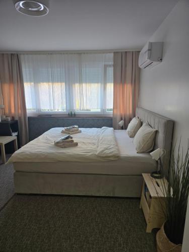 a bedroom with a large bed with a window at Studio apartman Tara in Kutina