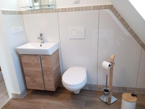 a bathroom with a toilet and a sink at Fewo Zur Windmühle in Pegau