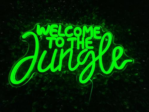 Ciné Jungle Projecteur 4K cœur de Lyon 6