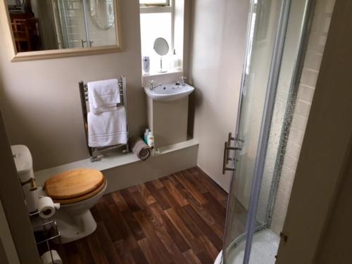 a bathroom with a toilet and a sink and a shower at The Old Three Pigeons in Nesscliffe