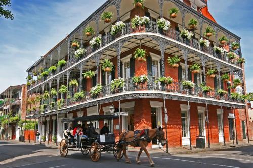 a horse drawn carriage in front of a building at Roami at Canal Quarters in New Orleans