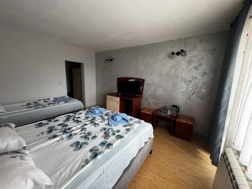 a bedroom with two beds and a tv in it at Bar & Guests room ELA in Dolen Bliznak