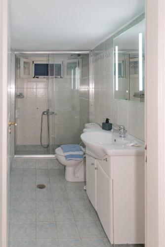 a bathroom with a shower and a toilet and a sink at Folia in Agia Marina