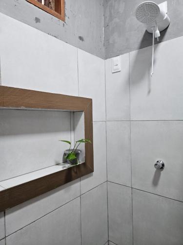 a bathroom with a shower with a plant on a shelf at Casa Entre Coqueiros in Tamandaré