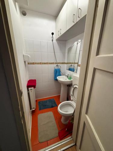 a small bathroom with a toilet and a sink at LUMON Ultra Central Apartman in Târgu-Mureş