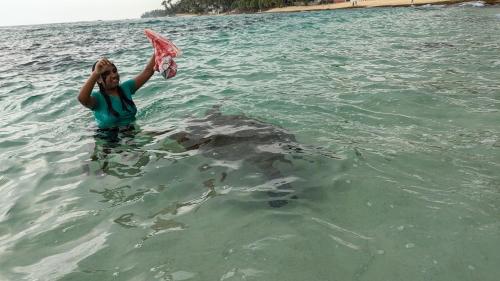 Eine Frau steht im Wasser im Ozean in der Unterkunft Ceylon Sungarden in Habaraduwa Central