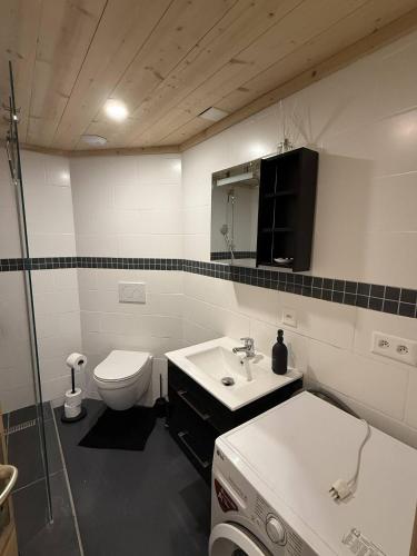 a bathroom with a toilet and a sink at Little Chalet Piguet in Gryon