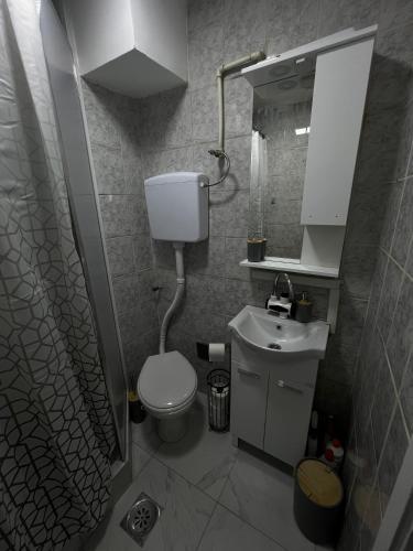 a bathroom with a toilet and a sink and a mirror at Stan na dan Žabac in Vlasenica