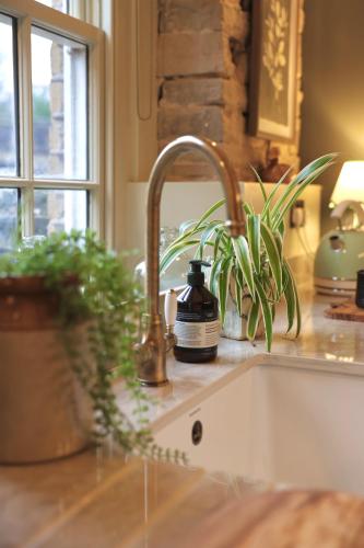 a kitchen sink with a soap dispenser and plants at Lock Keepers Cottage at Salterhebble in Exley