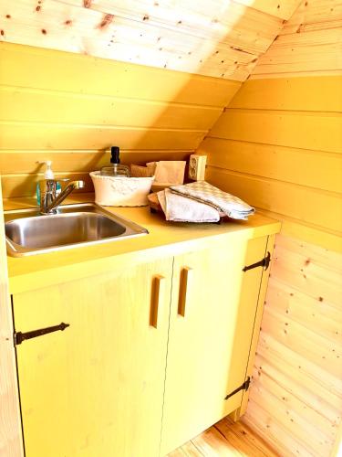 a kitchen with a sink and a counter top at La cabane enchantée in Hudiviller