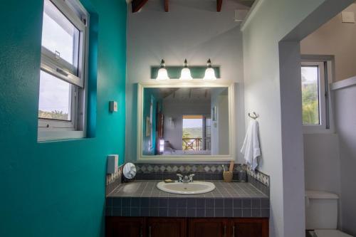 a bathroom with a sink and a mirror at La Caye - Ocean View Villa in Calibishie