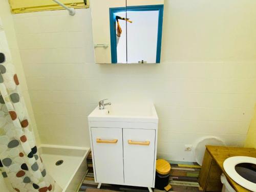 a bathroom with a white sink and a mirror at Studio aux Sources de la Chabanne in Saint-Hilaire-les-Courbes
