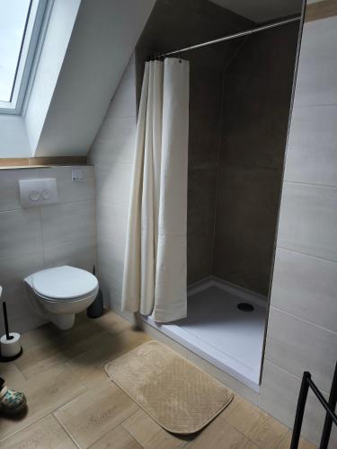 a bathroom with a shower curtain and a toilet at Gästehaus Müller in Hohenleipisch