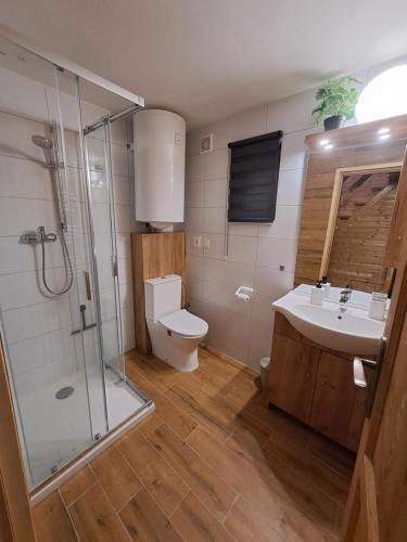 a bathroom with a toilet and a sink and a shower at Chaty Hrubý in Dolní Moravice