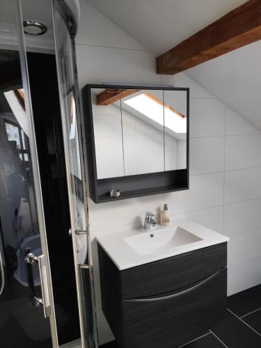 a bathroom with a sink and a mirror at Boxenstop in Kleinlobming