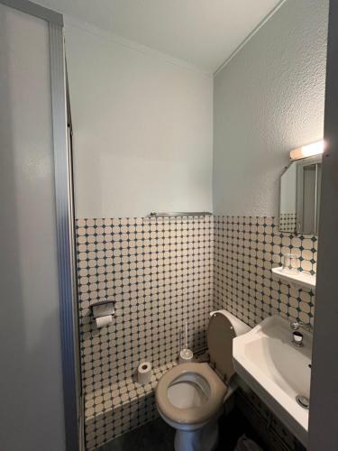 a bathroom with a white toilet and a sink at Ancien hotel Bourgeois in Andelot-en-Montagne