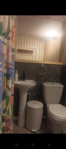 a bathroom with a toilet and a sink at Hostal Don Francisco in Osorno