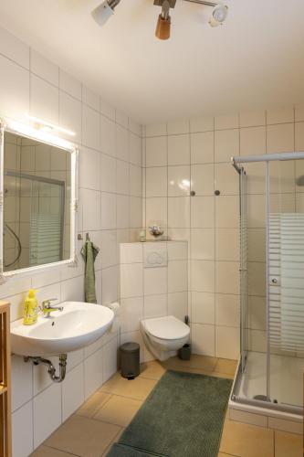 a bathroom with a sink and a toilet and a shower at Ferienwohnung Naturnah Ebermannstadt in Ebermannstadt