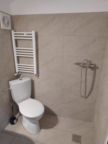 a bathroom with a toilet and a shower at Casuta din Livada 3 in Drăganu-Olteni