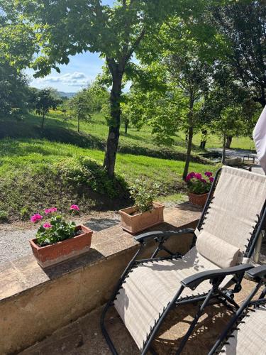 a patio with a chair and potted plants and trees at CasalPiano in Orvieto