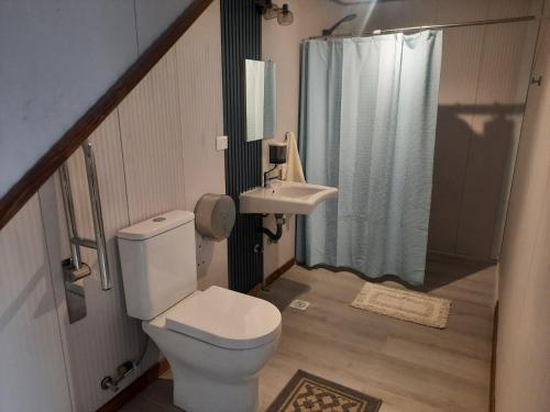 a bathroom with a toilet and a sink and a shower at Cabañas Entre Cerros y Ríos in Futaleufú