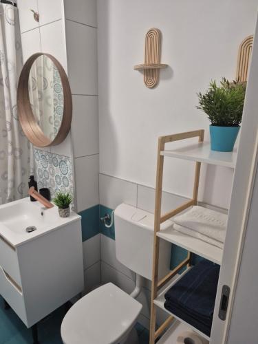 a small bathroom with a toilet and a sink at Petrosani Central ApartHotel in Petroşani