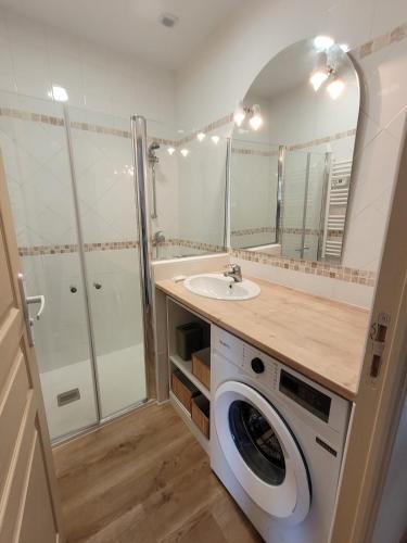 a bathroom with a washing machine and a sink at Gîte L'alcôve in Issendolus