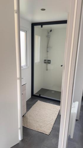 a bathroom with a mirror and a sink and a shower at Lambé in Pont-Aven