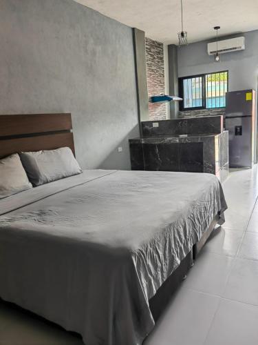 a bedroom with a large bed in a room at Casa Victoria in Valladolid