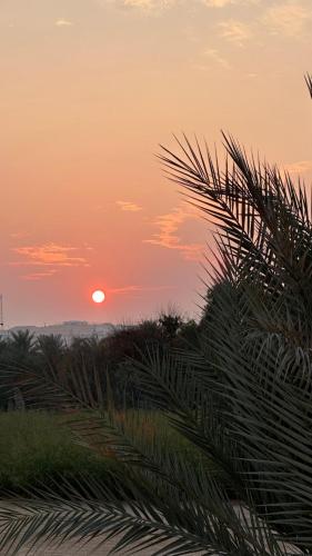 a sunset over a palm tree with the sun in the background at Al Gaith Retreat