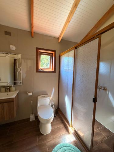 a bathroom with a toilet and a shower and a sink at Cabañas Altos del Sollipulli in Rumiñano