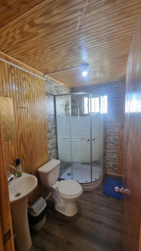 a bathroom with a toilet and a shower and a sink at cabañas cubero in Gualaihue