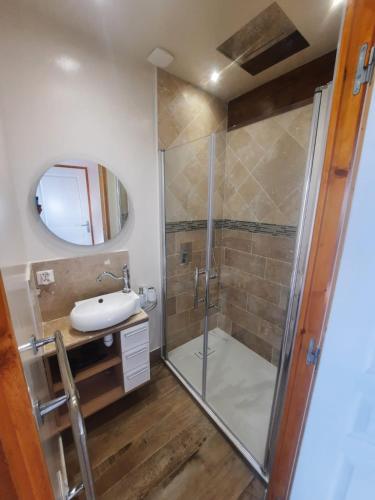 a bathroom with a shower and a sink at L'Abri Côtier 2 in Les Sables-d'Olonne