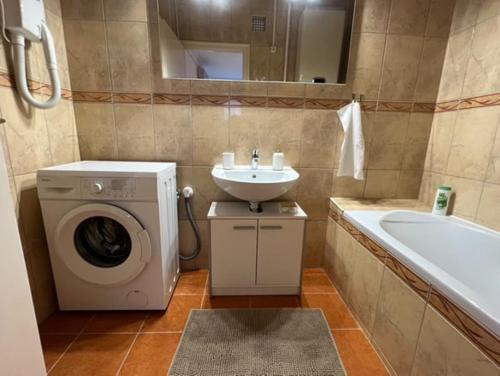 a bathroom with a washing machine and a sink at Greatforest apartman 2 in Debrecen