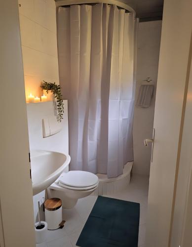 a bathroom with a white toilet and a sink at Ferienwohnung TALISA in Günzburg