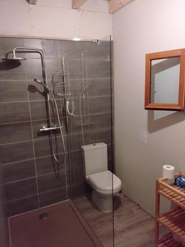 a bathroom with a toilet and a glass shower at Le Rucan Maison atypique in Montastruc-de-Salies