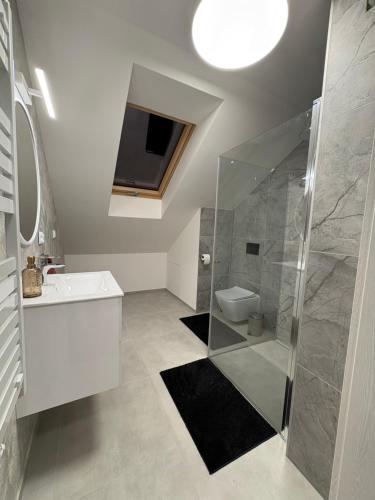 a bathroom with a shower and a sink and a toilet at Borówkowy domek in Janik