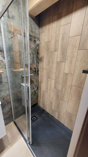 a shower with a glass door in a bathroom at Domek u Hillów in Stronie Śląskie