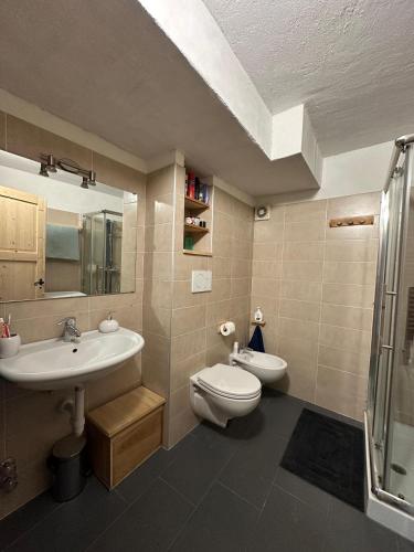 a bathroom with a sink and a toilet and a shower at Il nido delle cime in Capriana