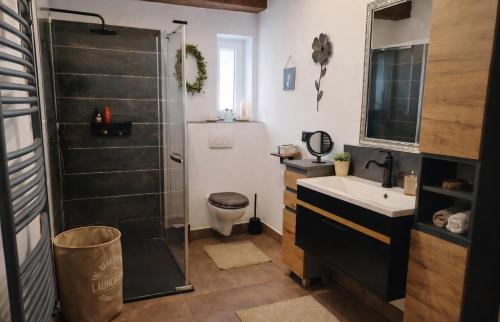 a bathroom with a shower and a toilet and a sink at Chalet Woidzauber in Zwiesel