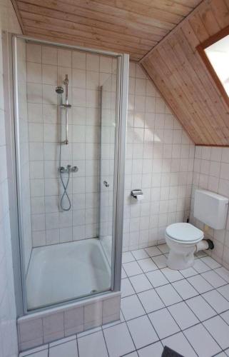 a bathroom with a shower and a toilet at LHMW19A12-FeWo-Seglerfruend-II in Westerbergen
